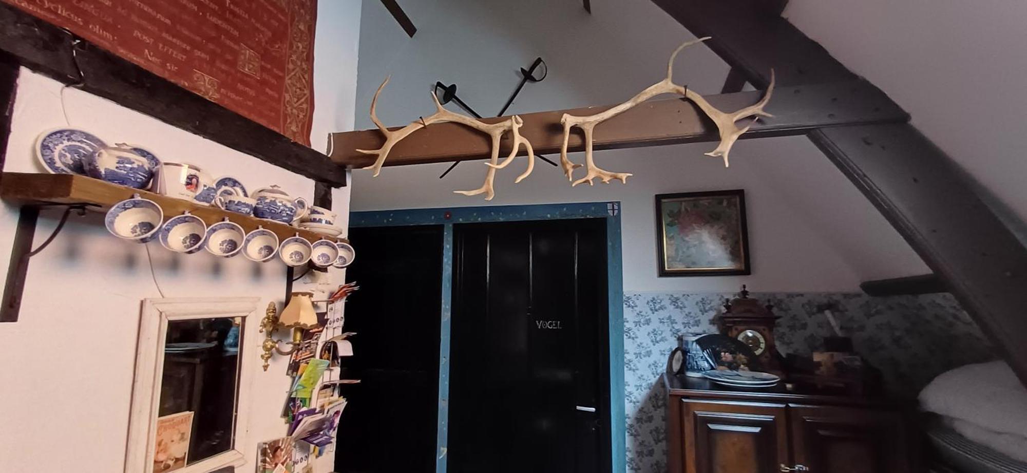 De Snoeperij Bed & Breakfast Dirksland Екстериор снимка