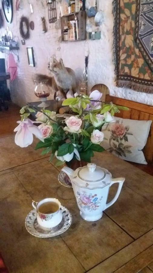 De Snoeperij Bed & Breakfast Dirksland Екстериор снимка